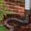 Flexible Rain Gutter Downspout Extender 21-60 Inches, 2-Pack 2