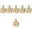 6Pcs Golden Baby Teeth Keepsake Box with Bear Design Portable Storage 5