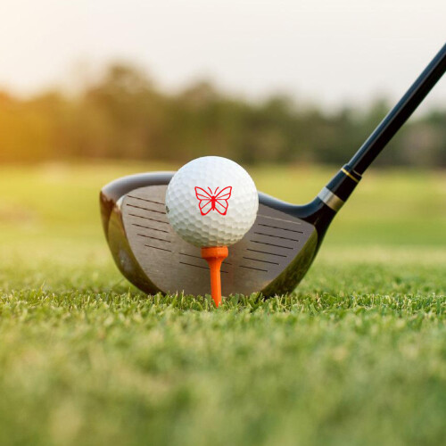 5Pièces Tampons Noir Pour Marquer De Golf 2