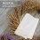 60Pièces Papier Pressing Fleurs Réutilisable Absorbant Pour DIY 11