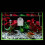 4Pcs High Visibility Fish Incubator Box for Aquarium Breeding Use 10