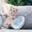 Pour Chat, Outil Poils Nœuds 8