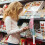 60Pcs Durable Plastic Merchandise Straps White with S Hooks for Retail 3