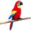 2St Duurzaam Vogel Speel- En Decoratiestuk 2