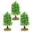 6Pcs Plastic Mini Trees for Sand Table Landscape Model Decoration 2