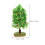 6Pcs Plastic Mini Trees for Sand Table Landscape Model Decoration 10