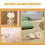 10Pcs Beige Faux Flower Reed Diffusers with Scent Home Decor 7