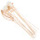 48Pcs Natural Essential Oil Diffuser Sticks Scent for Home 3