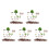 5Ensembles Ensemble Décor Ferme Plastique Animaux Miniatures Multi Couleurs 5
