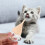 4Pièces Nursing Animaux Petits Clair Facile Nettoyage 6