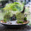 150Pièces Mini Arbres Bambou Plastique Vert Décor Micro Paysage DIY 5
