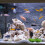 4Pièces Aquarium Silencieuse ABS USB Pour Fontaine 5