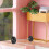 4Pièces Mini Décor Haltères Noires Accessoires Gym Maison De 4