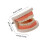 1Pc Teeth Model Kids Teaching Study Standard Typodont 2