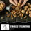 3Pcs Silver Nutcracker Sheller Nut Opener for Kitchen Use 6