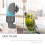 4Pcs Bird Cage Hanging Water Container Grey Water Feeder for Parrots 6