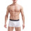 2Pcs White Men Underwear Ice Silk Breathable Lightweight 9