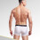 2Pcs White Men Underwear Ice Silk Breathable Lightweight 11