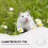 Transparent Acrylic Hamster Bath Container Multi-Function Pet Tub 4