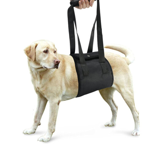 3Pcs Dog Traction Belt Black Adjustable Support for Arthritic Pets 1