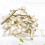 60St Kinderspeelgoed Disposable Khaki Set 10