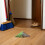 Hard Plastic Garden Rake Head for Efficient Leaf and Lawn Cleanup 4