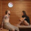 10Pièces Thermomètre Suspendu Digital Précis Pour Sauna 4