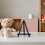 3Pièces Chevalets En Pour Enfants Supports Tabletop Élégants 6
