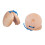 2Pièces En Bois Pour Enfants Jeu Percussion Khaki Durable 8