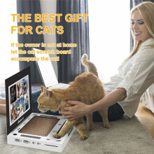 Centro de Actividades Interactivo para Gatos. Juguete Portátil para Gatos con Ratón de Cartón. Juguete Interactivo para Gatos.