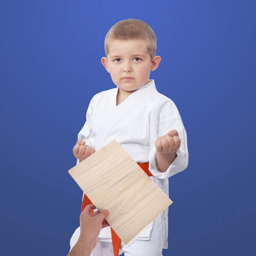 40Pièces De Frappes Karate Portable Bois Pro 2