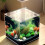 4Pièces Filets Fines Protecteurs Pour Aquarium 11