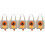 5Pièces Sling Chat Toile Confortable Respirant 11
