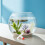 6Pcs Durable Plastic Aquarium Air Control Valve for Protein Skimmer 6