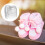 100St Baby En Sokdisplayhouder Van Transparant PVC 9