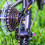 3Ensembles Embouts Câble Violet Durables Pour Freins 4