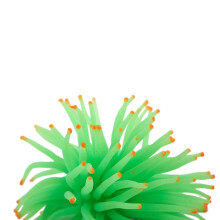 1 Pcs Green Silicone Sea Anemone Fish Tank Ornament & 1 Pcs 200μM 4X15 Inch Sump Pre Filter Sock Bag