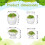 16Pièces Décorations Multicouleurs Plantes Miniatures Pour Paysage 3