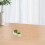16Pièces Décorations Multicouleurs Plantes Miniatures Pour Paysage 4