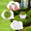 16Pièces Décorations Multicouleurs Plantes Miniatures Pour Paysage 7