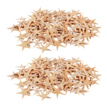 Small Starfish Star Sea Shell Beach 0.4 inch-1.2 inch 180 Pcs