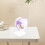 3Sets Violet PVC Hamster Exercise Wheel Silent Running Toy for Pets 5