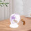 3Sets Violet PVC Hamster Exercise Wheel Silent Running Toy for Pets 8