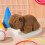 Furry Animal Slap Bracelet Chocolate 1pcs 4