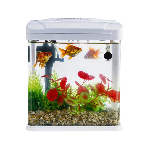 2Pièces Thermomètre Reptile Multi Usage Avec Ventouse Pour Aquarium 2