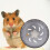3Pièces Roue De Gym Hamster Installation Facile 4