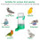 20Pièces Distributeur D'eau Vert Unique Pour Pigeons Petits Oiseaux 7