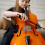 3Pièces Pont Violon Noir Accessoire Multifonction Pratique 4