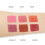 2Pièces Blush Joues 6 Texture Douce Tenue Prolongée 4