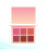 2Pièces Blush Joues 6 Texture Douce Tenue Prolongée 5